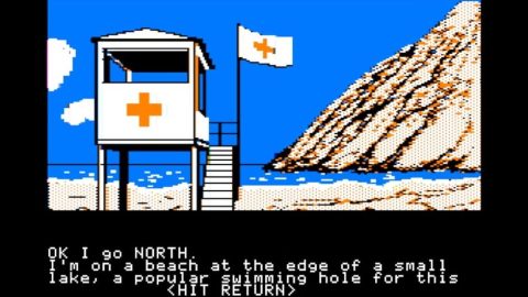 Image in-game