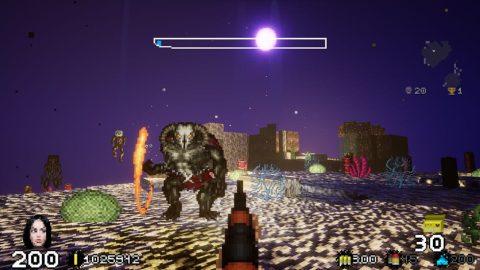 Image in-game