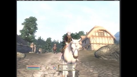 Image in-game