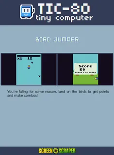 Bird Jumper dos