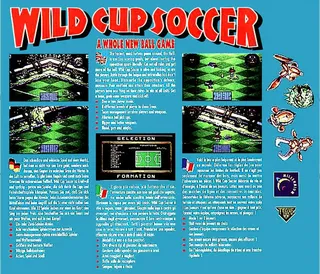 Wild Cup Soccer dos