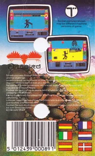 Ninja Master dos