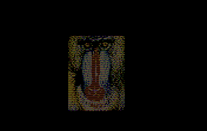Demo Image Series #03 - Baboon