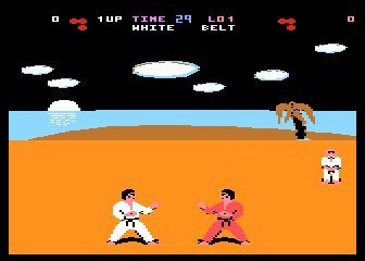 Brutal Karate
