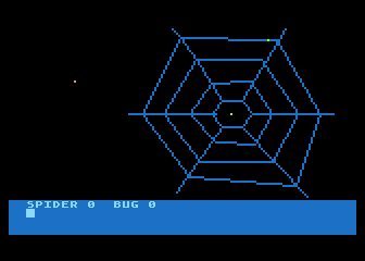 The Bug And The Spider