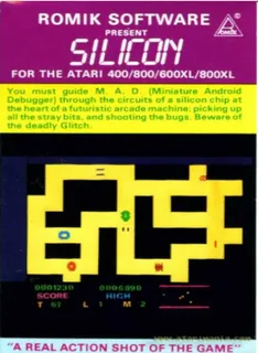 Silicon