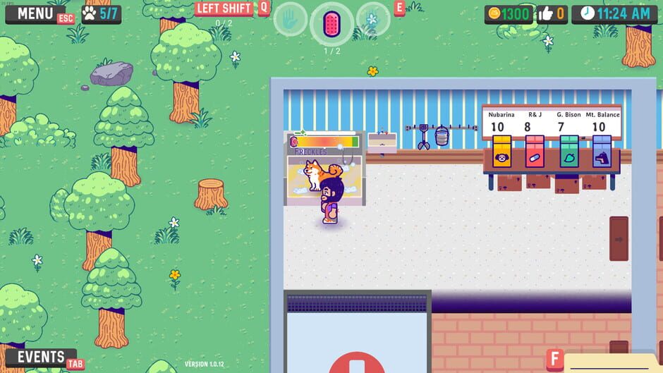 Image in-game