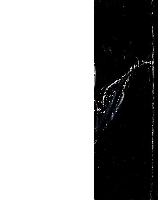 The Rising Of Salandra Part 1 - The Prophecy - Dos