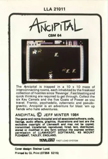 Ancipital dos