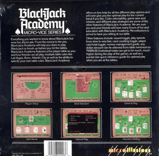 Blackjack Academy dos