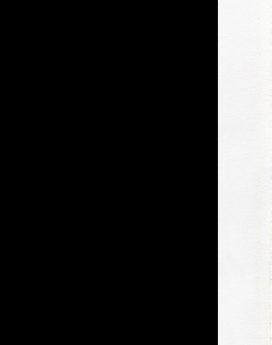 Bootleg Bandits - Dos