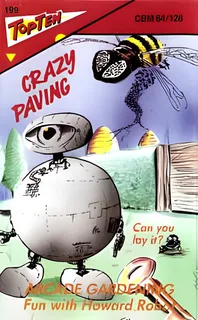 Crazy Paving