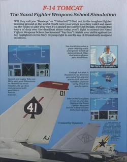 F-14 Tomcat dos