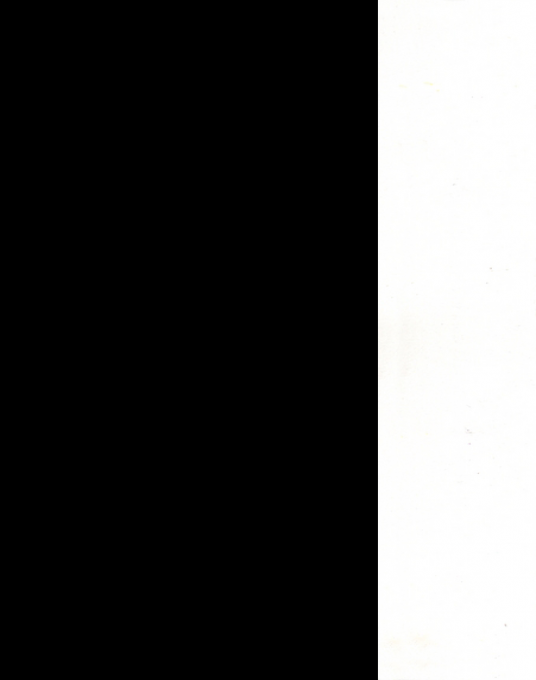 Junkyard Jalopies - Dos