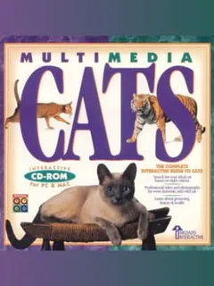 What Is Multimedia