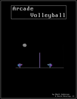 Arcade Volleyball