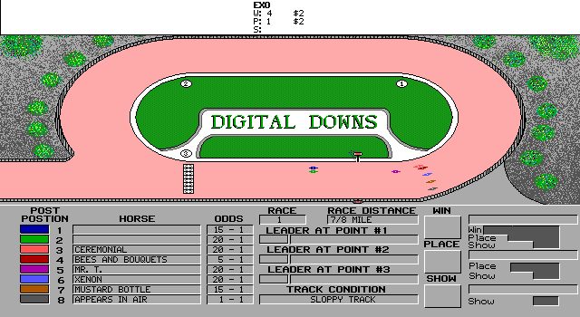 Digital Downs 1 3