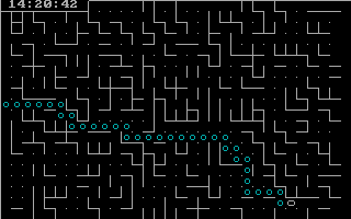 Maze