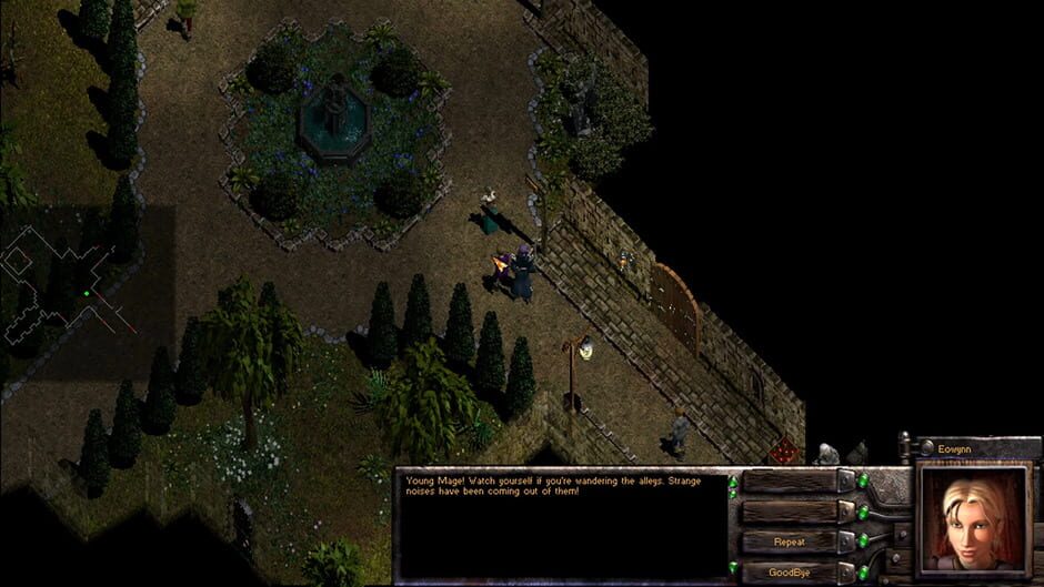 Image in-game