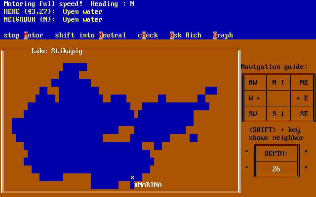 Image in-game