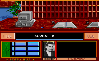 Image in-game