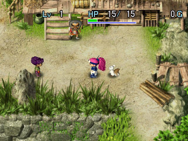 Image in-game