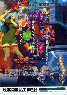 Neo XYX dos