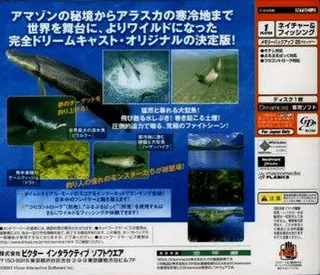 Reel Fishing | Wild dos