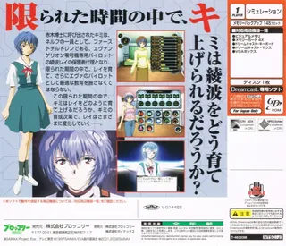 Shinseiki Evangelion - Ayanami Ikusei Keikaku dos