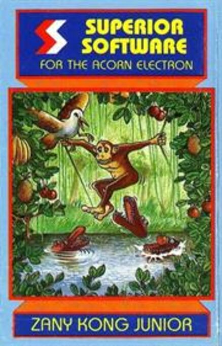 Zany Kong Junior