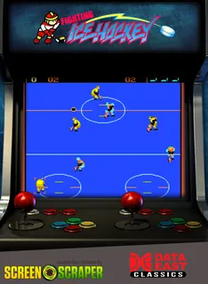 Fighting Ice Hockey