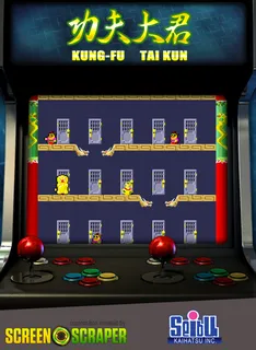 Kung-fu Taikun