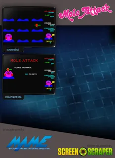 Mole Attack dos