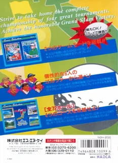 Neo Turf Masters dos