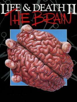 Life & Death II - The Brain