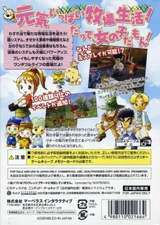 Harvest Moon : A Wonderful Life dos