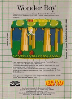 Wonder Boy dos