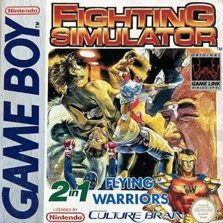 Fighting Simulator 2 in 1 - Flying Warriors