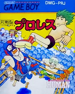 Pro Wrestling