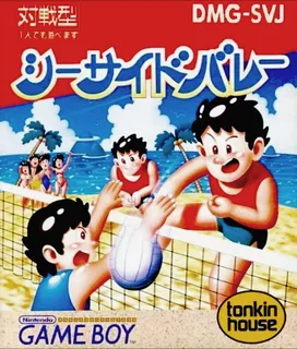 Seaside Volley
