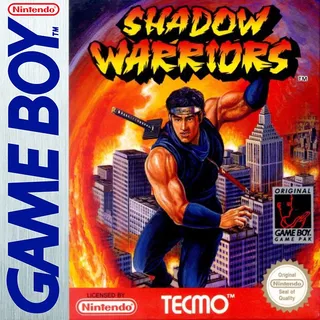 Shadow Warriors