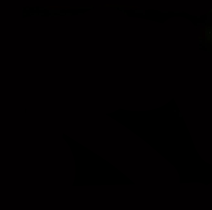 Flashback Legends - Dos