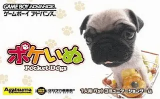 Pocket Dogs