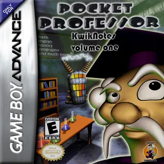 Pocket Professor : Kwik Notes