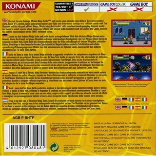 Teenage Mutant Ninja Turtles dos