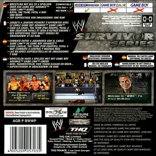 WWE Survivor Series dos