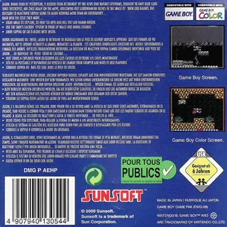 Blaster Master : Enemy Below dos