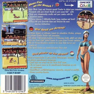 Power Spike Pro Beach Volleyball dos