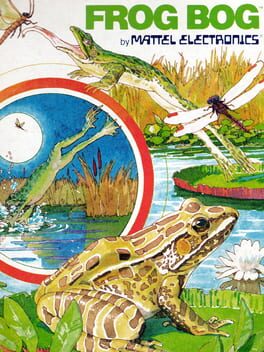 Bog