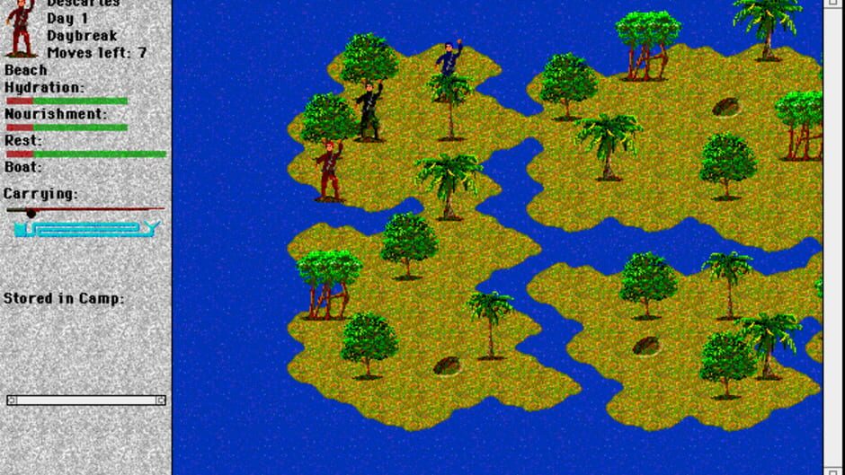 Image in-game